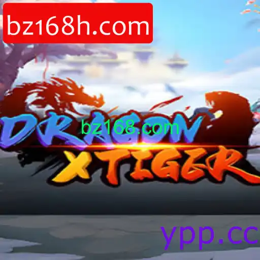 DragonXTiger
